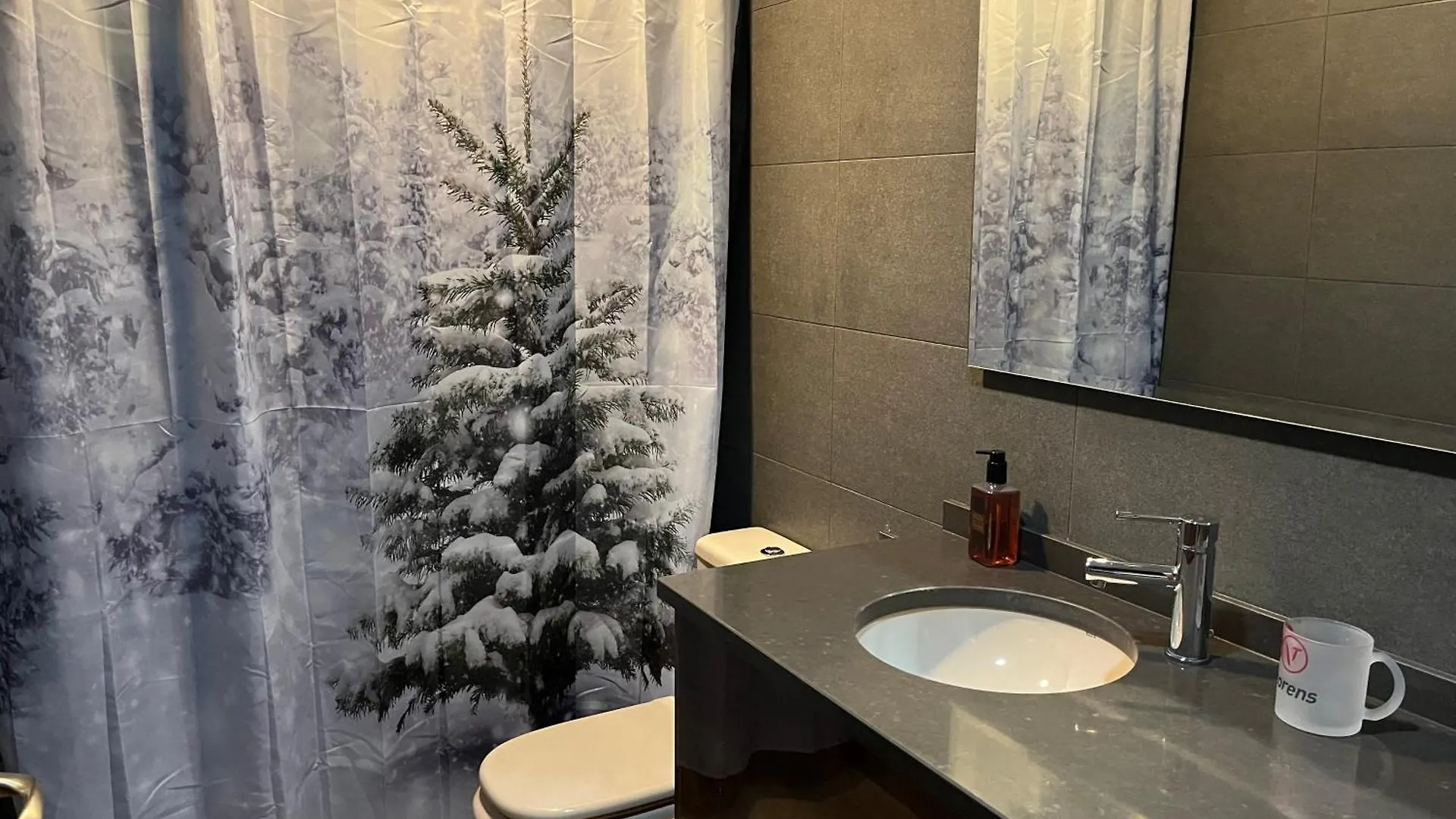 Apartament Charme Et Confort Au Pied Des Pistes Naut Aran